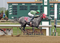 Picture of Canterbury Park Racetrack and Card Club